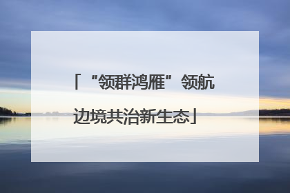 “领群鸿雁”领航边境共治新生态