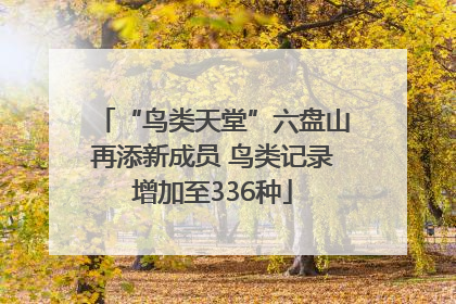 “鸟类天堂”六盘山再添新成员 鸟类记录增加至336种