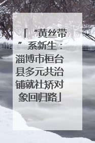 “黄丝带”系新生：淄博市桓台县多元共治铺就社矫对象回归路