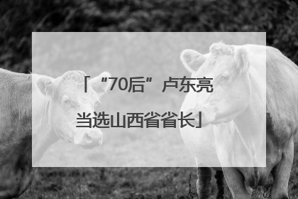 “70后”卢东亮当选山西省省长
