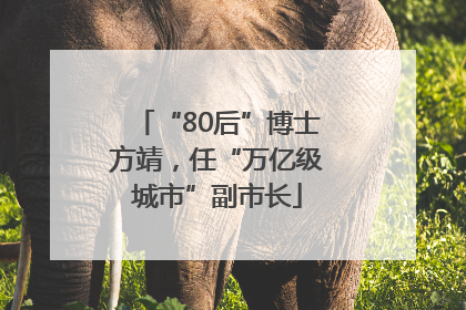 “80后”博士方靖，任“万亿级城市”副市长