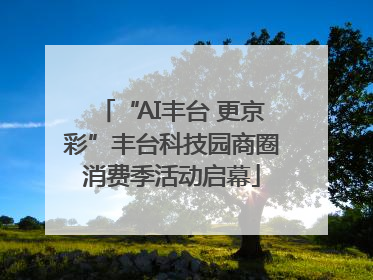 “AI丰台 更京彩”丰台科技园商圈消费季活动启幕
