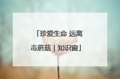 珍爱生命 远离毒蘑菇｜知识窗