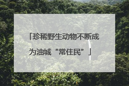 珍稀野生动物不断成为油城“常住民”