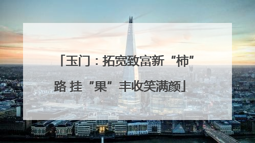 玉门：拓宽致富新“柿”路 挂“果”丰收笑满颜