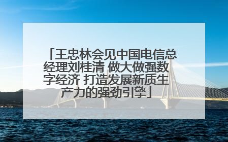 王忠林会见中国电信总经理刘桂清 做大做强数字经济 打造发展新质生产力的强劲引擎