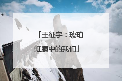 王征宇：琥珀虹膜中的我们