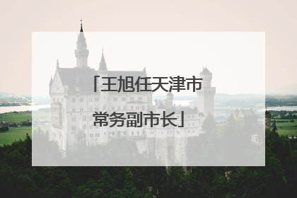 王旭任天津市常务副市长