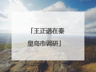 王正谱在秦皇岛市调研