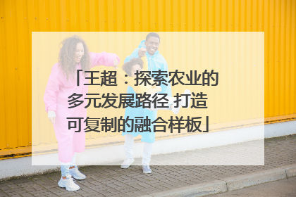王超：探索农业的多元发展路径 打造可复制的融合样板