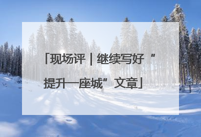现场评｜继续写好“提升一座城”文章