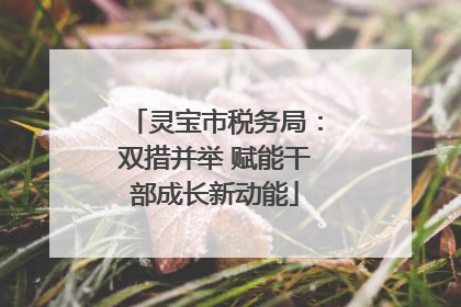 灵宝市税务局：双措并举 赋能干部成长新动能