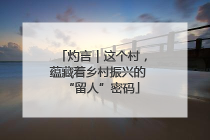 灼言｜这个村，蕴藏着乡村振兴的“留人”密码