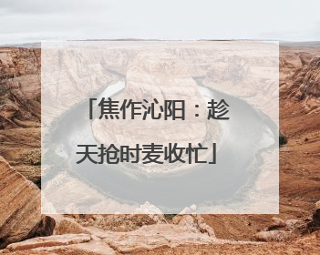 焦作沁阳：趁天抢时麦收忙