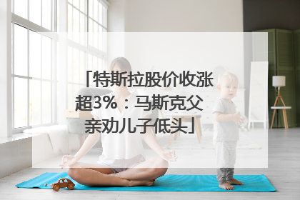 特斯拉股价收涨超3%：马斯克父亲劝儿子低头