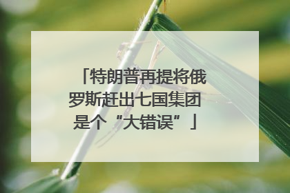 特朗普再提将俄罗斯赶出七国集团是个“大错误”