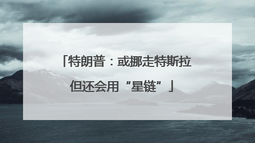 特朗普：或挪走特斯拉 但还会用“星链”