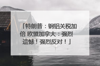 特朗普：钢铝关税加倍 欧盟加拿大：强烈遗憾！强烈反对！