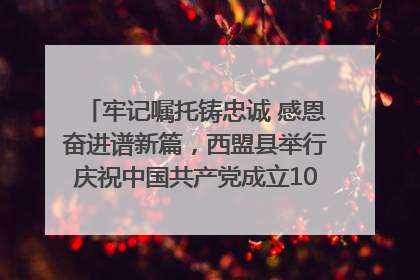 牢记嘱托铸忠诚 感恩奋进谱新篇，西盟县举行庆祝中国共产党成立104周年文艺晚会