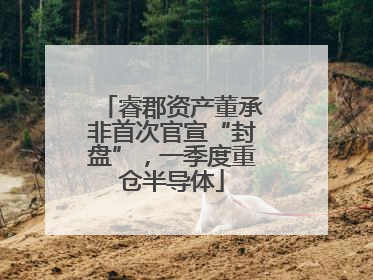 睿郡资产董承非首次官宣“封盘”，一季度重仓半导体