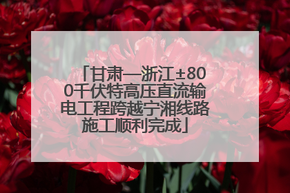 甘肃—浙江±800千伏特高压直流输电工程跨越宁湘线路施工顺利完成