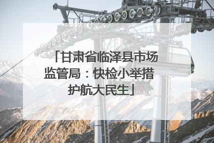 甘肃省临泽县市场监管局：快检小举措 护航大民生
