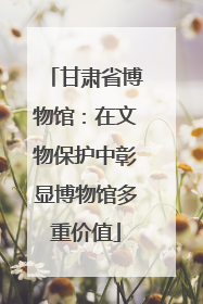 甘肃省博物馆：在文物保护中彰显博物馆多重价值