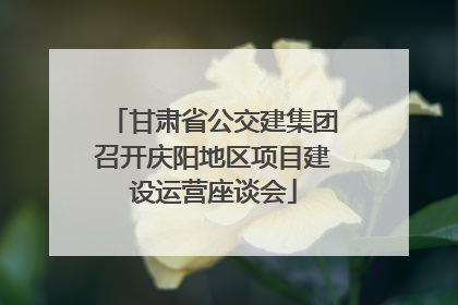 甘肃省公交建集团召开庆阳地区项目建设运营座谈会