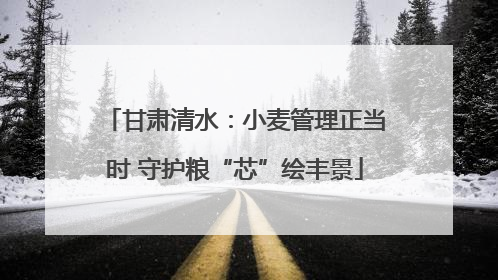 甘肃清水：小麦管理正当时 守护粮“芯”绘丰景