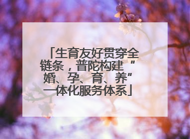 生育友好贯穿全链条，普陀构建“婚、孕、育、养”一体化服务体系