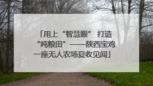 用上“智慧眼” 打造“吨粮田”——陕西宝鸡一座无人农场夏收见闻