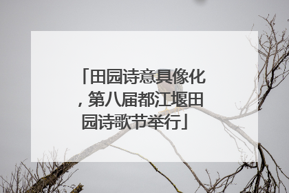 田园诗意具像化，第八届都江堰田园诗歌节举行