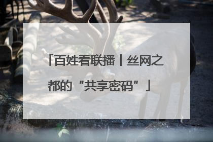 百姓看联播丨丝网之都的“共享密码”