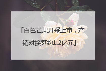 百色芒果开采上市，产销对接签约1.2亿元