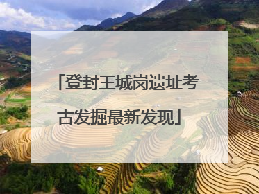 登封王城岗遗址考古发掘最新发现