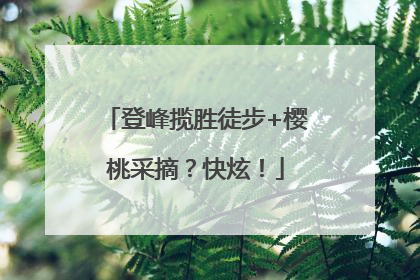 登峰揽胜徒步+樱桃采摘？快炫！