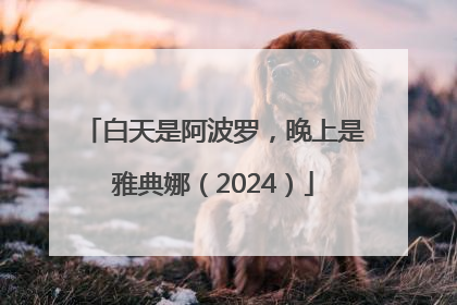 白天是阿波罗，晚上是雅典娜（2024）