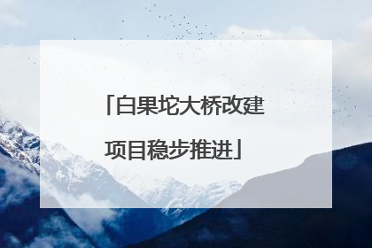 白果坨大桥改建项目稳步推进