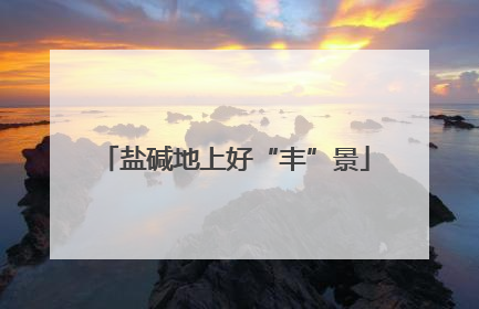 盐碱地上好“丰”景