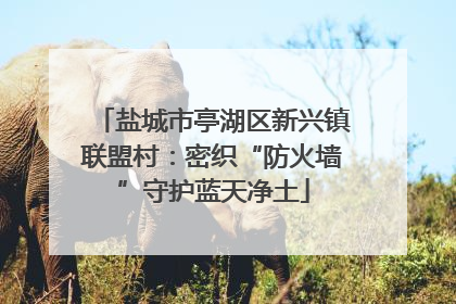 盐城市亭湖区新兴镇联盟村：密织“防火墙”守护蓝天净土
