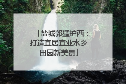 盐城郭猛护西：打造宜居宜业水乡田园新美景