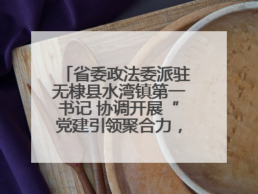 省委政法委派驻无棣县水湾镇第一书记 协调开展“党建引领聚合力，健康义诊惠乡亲”义诊活动