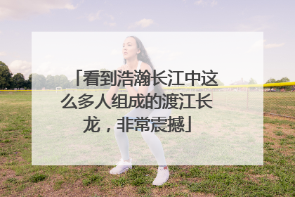 看到浩瀚长江中这么多人组成的渡江长龙，非常震撼