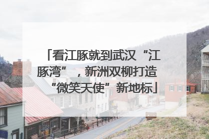 看江豚就到武汉“江豚湾”，新洲双柳打造“微笑天使”新地标