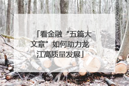 看金融“五篇大文章”如何助力龙江高质量发展