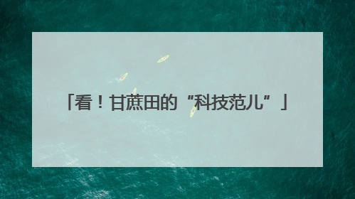 看！甘蔗田的“科技范儿”