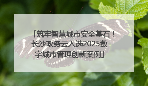 筑牢智慧城市安全基石！长沙政务云入选2025数字城市管理创新案例