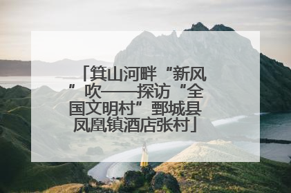 箕山河畔“新风”吹——探访“全国文明村”鄄城县凤凰镇酒店张村