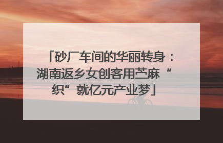 砂厂车间的华丽转身：湖南返乡女创客用苎麻“织”就亿元产业梦