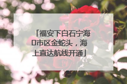 福安下白石宁海⇆市区金蛇头，海上直达航线开通